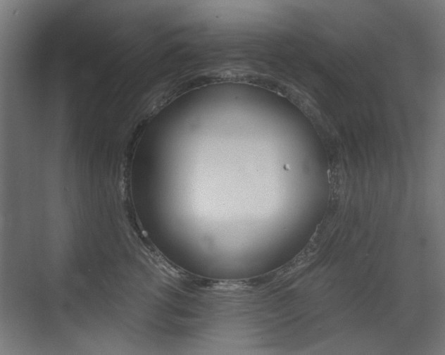 X0000075410762200609081001