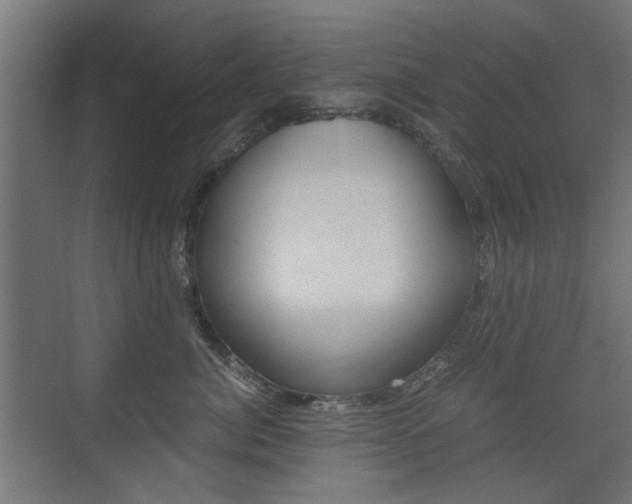 X0000075410764200609081001