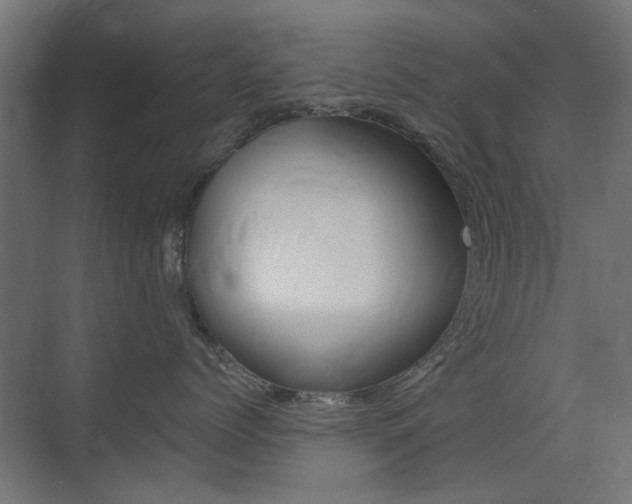 X0000075410768200609081001