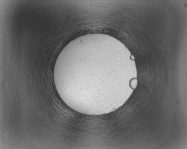 X0000075410769200609081001