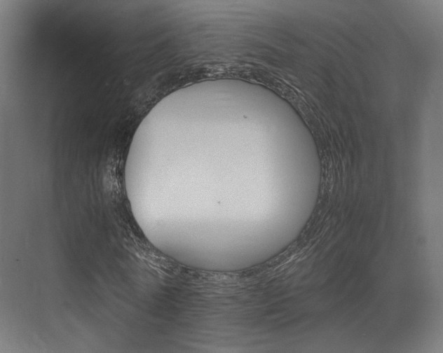 X0000075410770200609081001