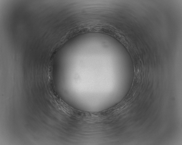 X0000075410772200609081001