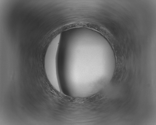 X0000075410773200609081001