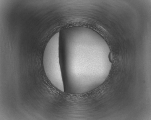 X0000075410774200609081001