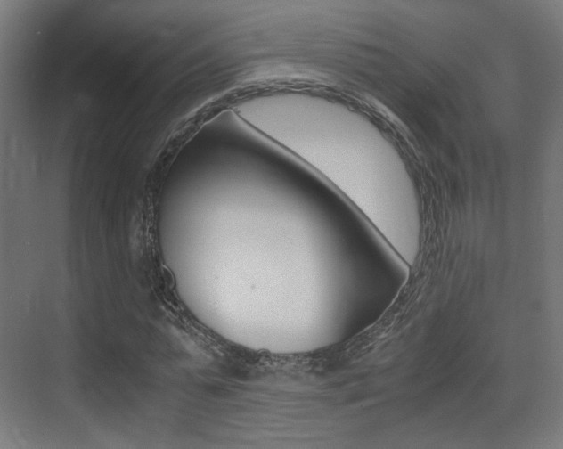 X0000075410775200609081001