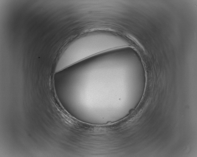 X0000075410777200609081001