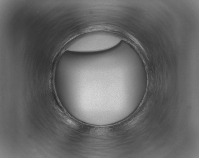X0000075410778200609081001