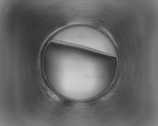 X0000075410779200609081000