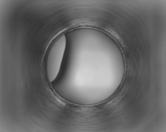 X0000075410782200609081000