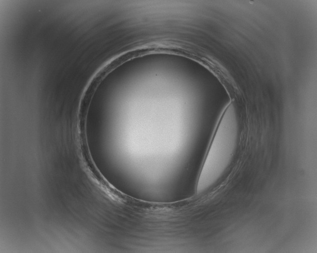 X0000075410784200609081000