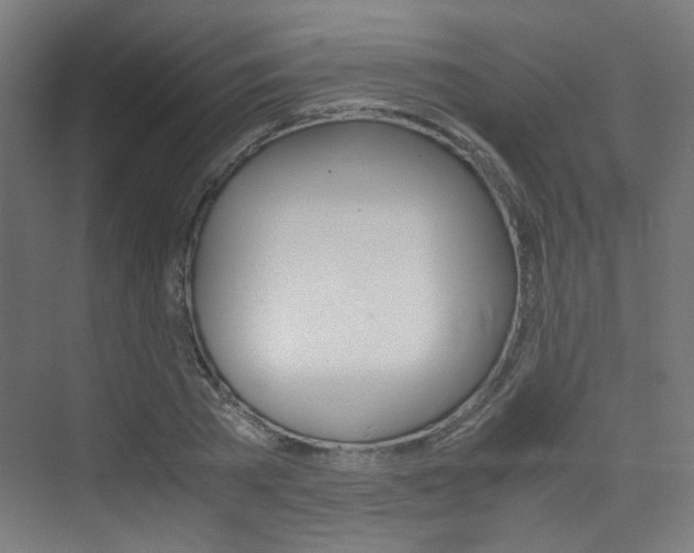 X0000075410785200609081000