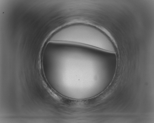 X0000075410791200609081000