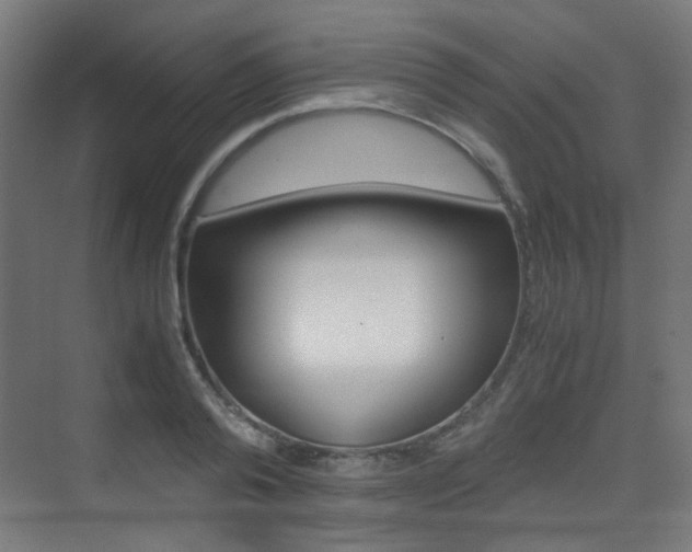 X0000075410792200609081000