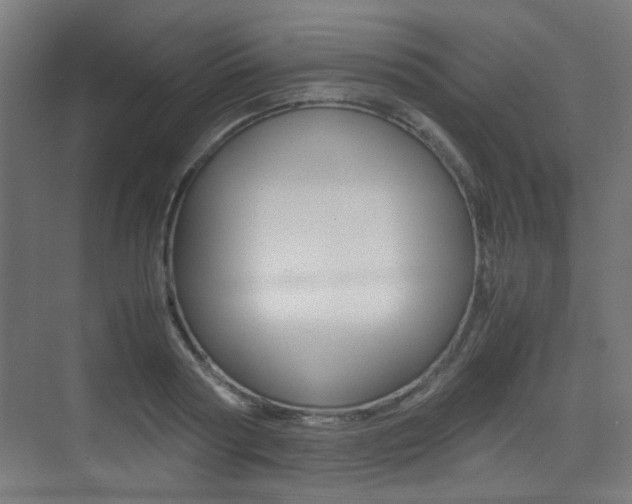 X0000075410794200609081000