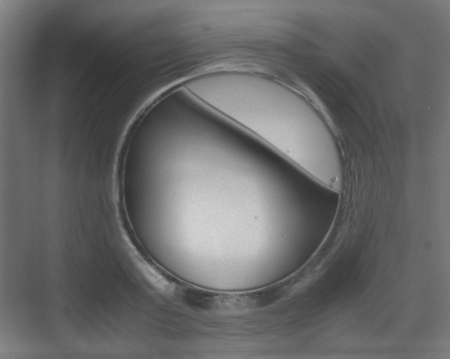 X0000075410795200609081000