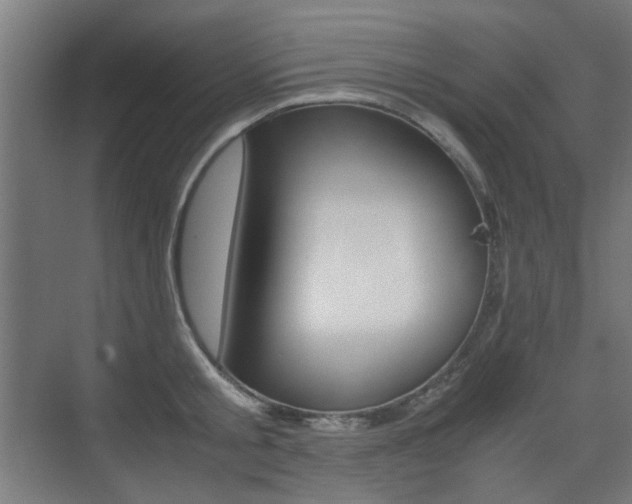 X0000075410805200609081000