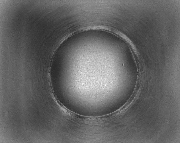X0000075410809200609081000