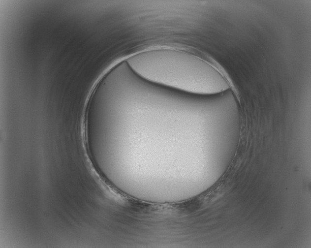 X0000075410811200609081000