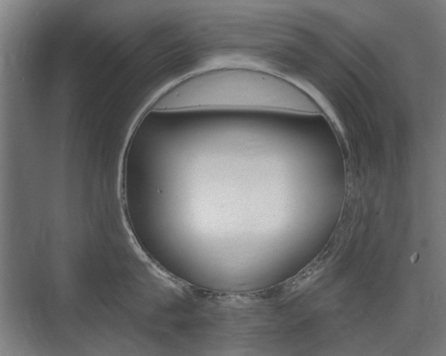 X0000075410815200609081000