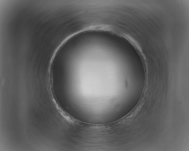 X0000075410816200609081000