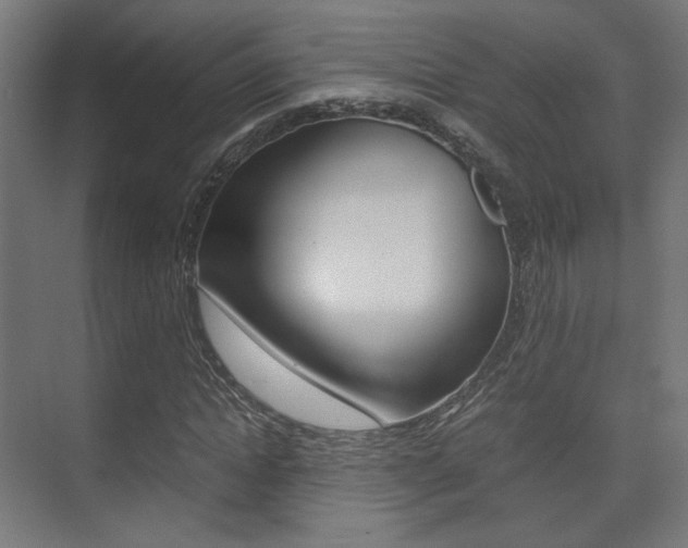 X0000075410822200609080959