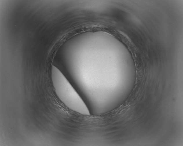 X0000075410823200609080959
