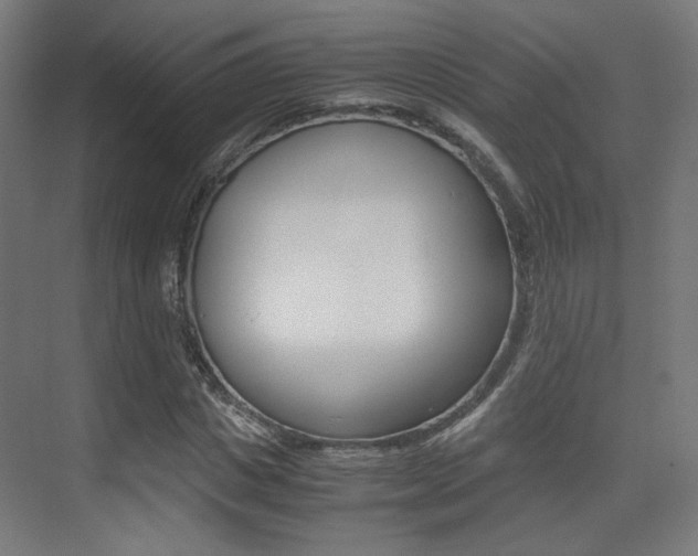X0000075410825200609080959