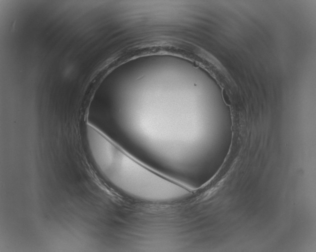 X0000075410826200609080959