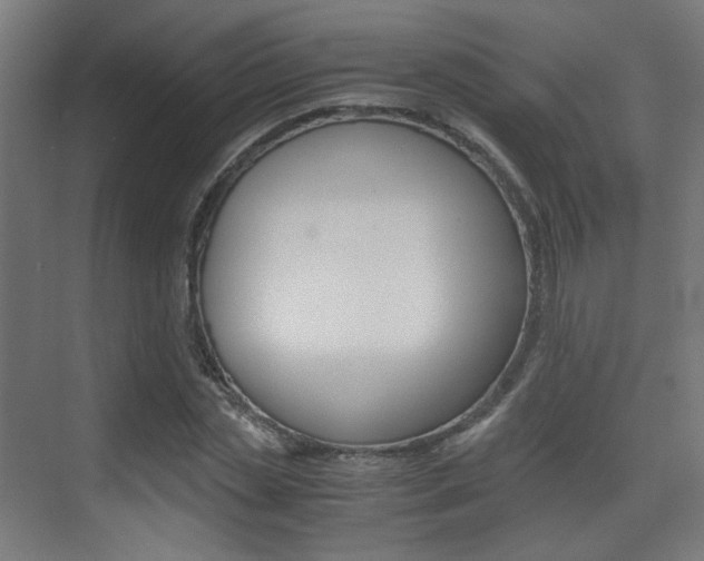 X0000075410829200609080959