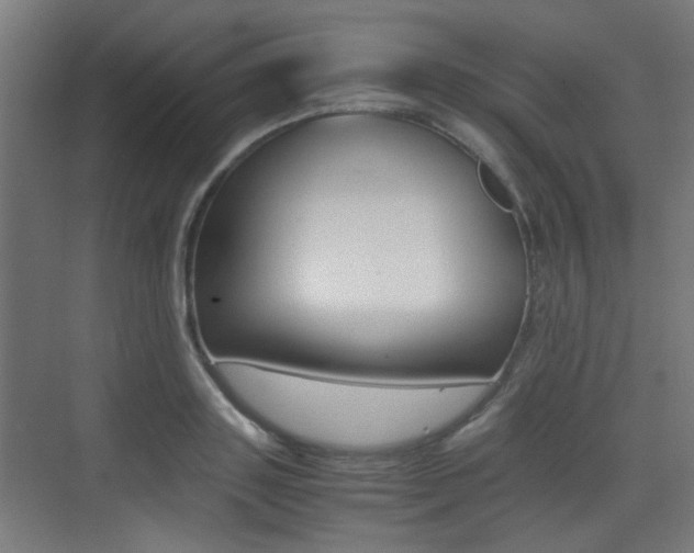 X0000075410843200609080959