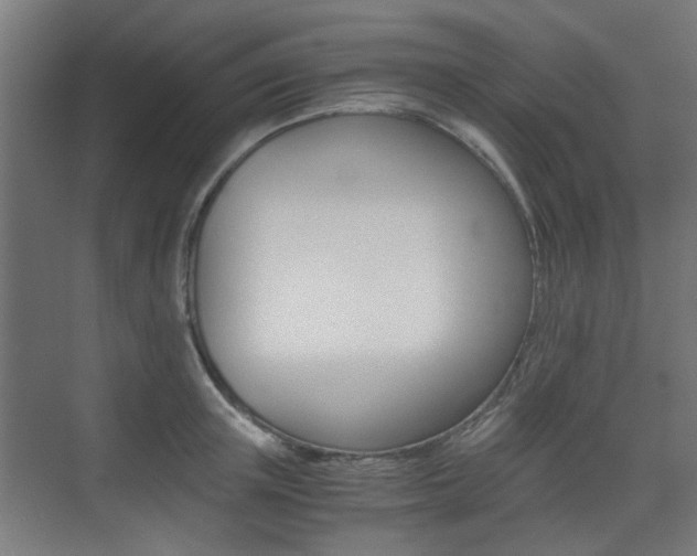 X0000075410851200609081000