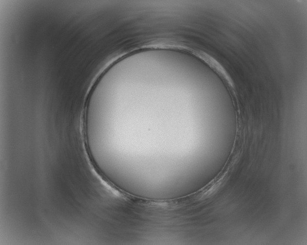 X0000075410855200609081000