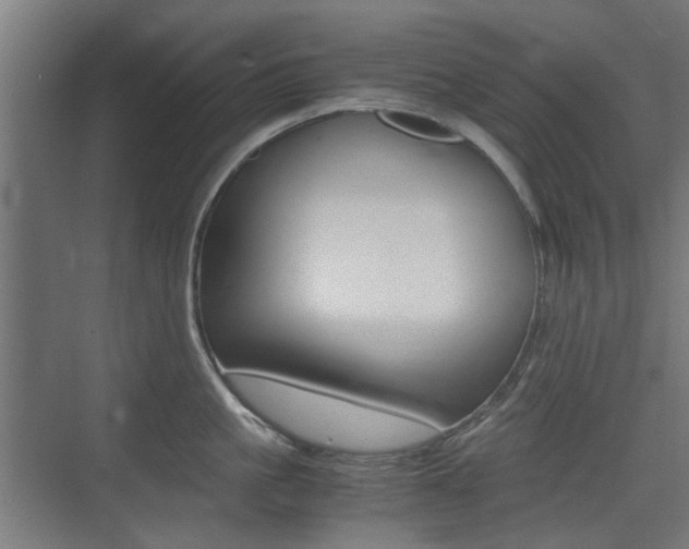 X0000075410861200609081000