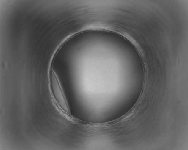 X0000075410864200609081000