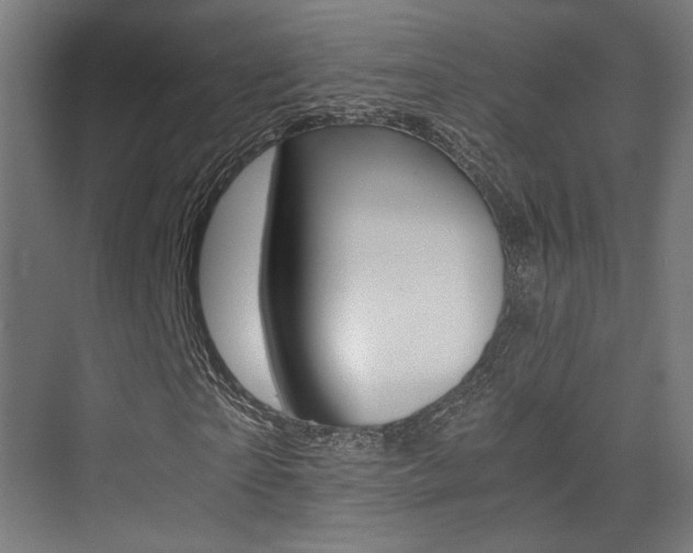 X0000075410865200609080959