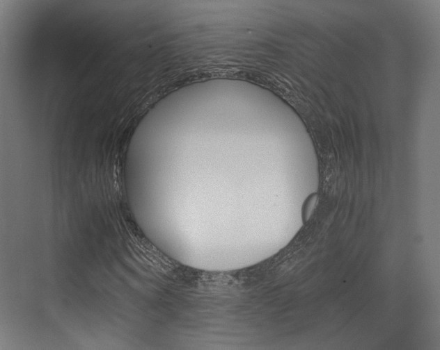 X0000075410866200609080959