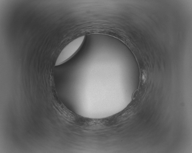 X0000075410867200609080959