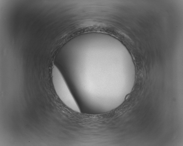X0000075410869200609080959