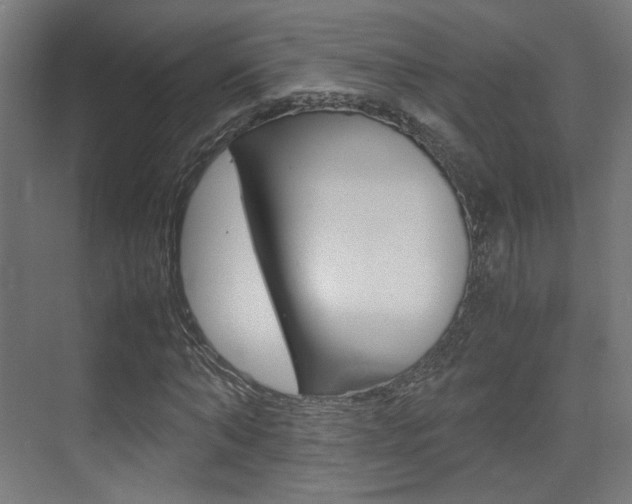 X0000075410870200609080959