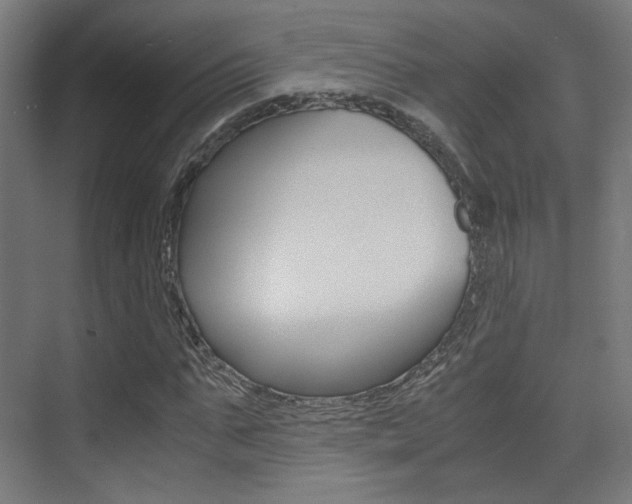 X0000075410871200609080959