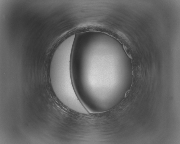 X0000075410872200609080959