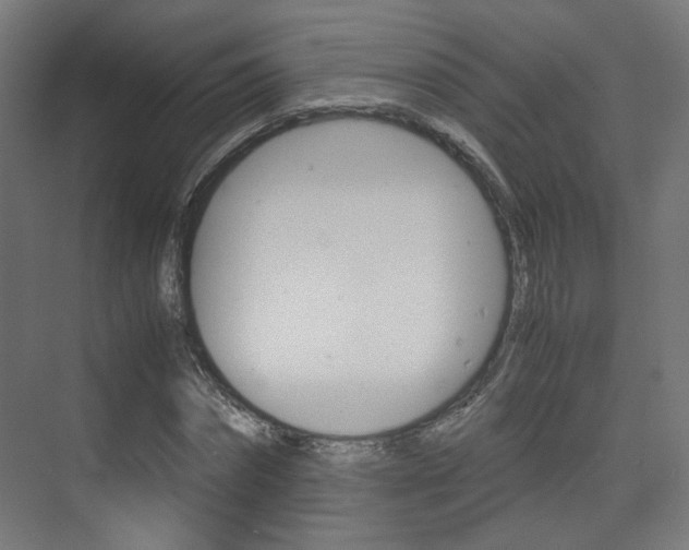 X0000075410874200609080959
