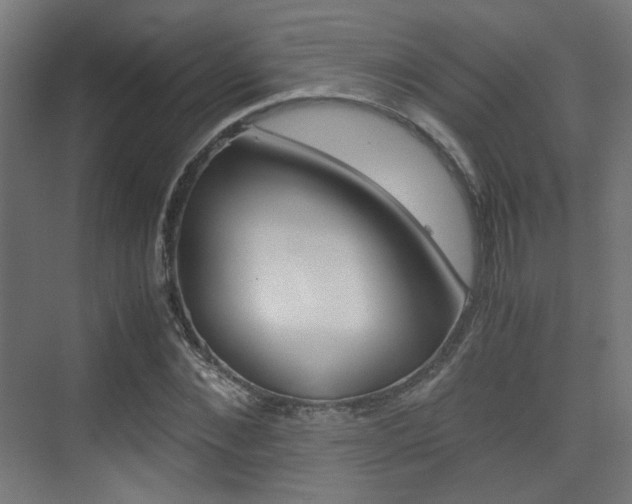 X0000075410876200609080959