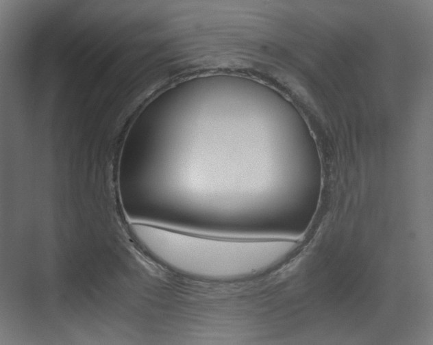 X0000075410881200609080959