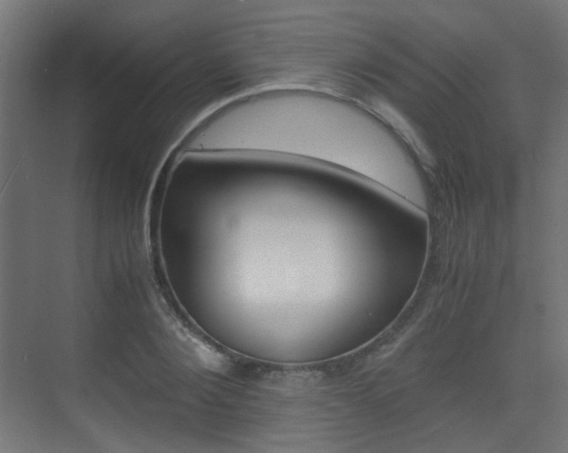 X0000075410884200609080959