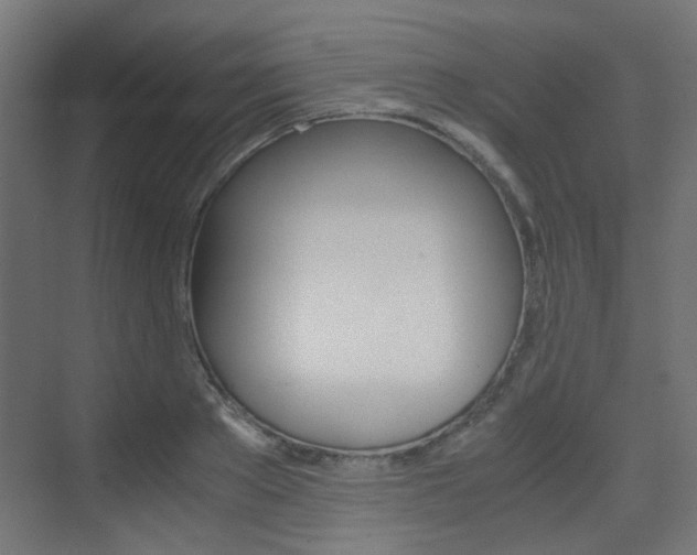X0000075410889200609080959