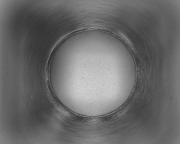 X0000075410891200609080959