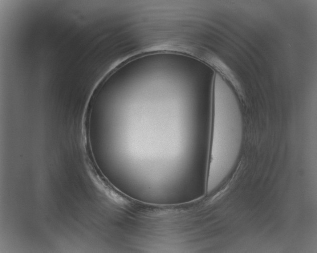 X0000075410892200609080959