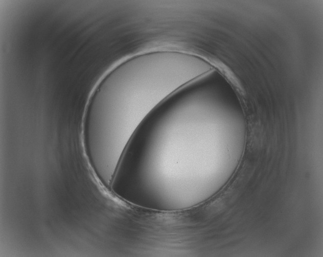 X0000075410904200609080958