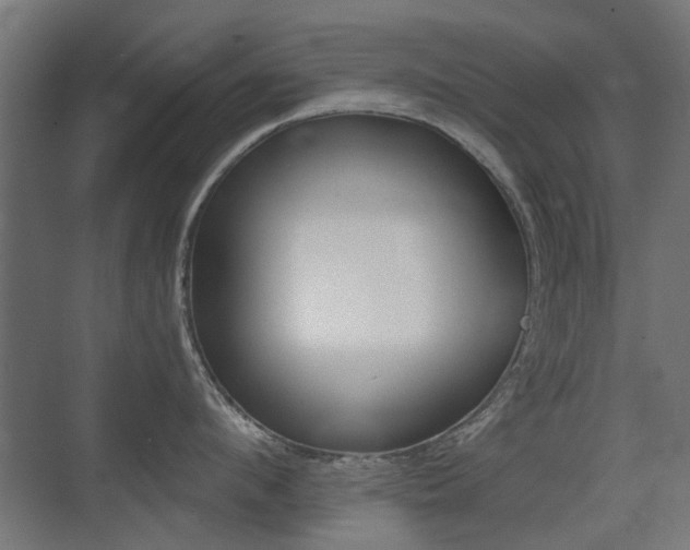 X0000075410912200609080958